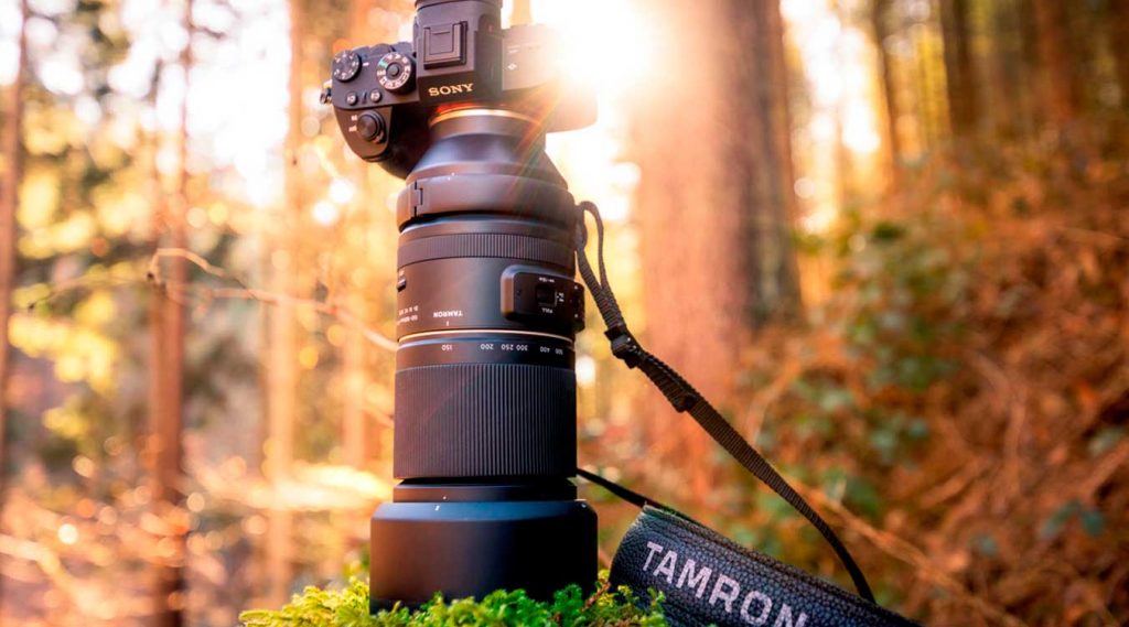Fotografía del Tamron 150-500mm F/5-6.7 Di III VC VXD en un bosque.
