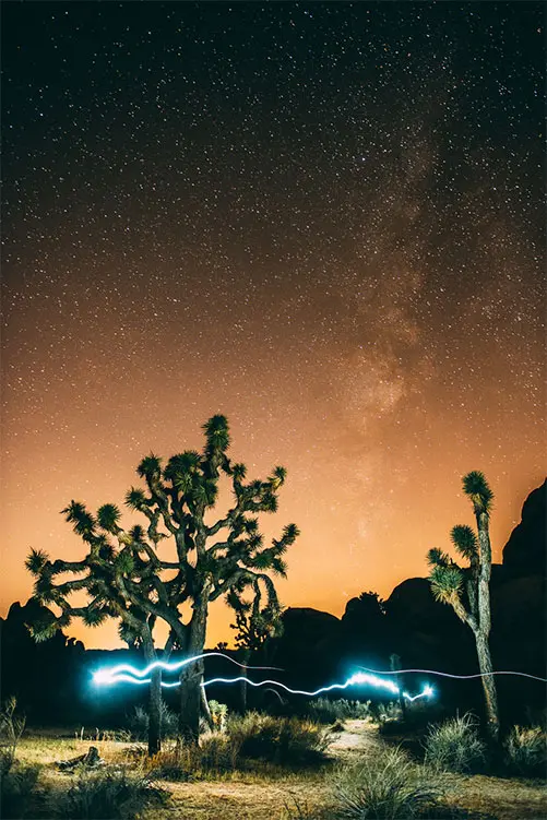 © Valtteri Hirvonen | Estelas de luz creadas con una linterna situada delante del cielo nocturno en el Parque Nacional de Joshua Tree, California (EE UU). Fotografía captada con una cámara Canon EOS 5D Mark III y un objetivo Canon EF 24-70 mm f/2,8L II USM, a 24 mm, 30 s, f/2,8 y 1600 ISO.