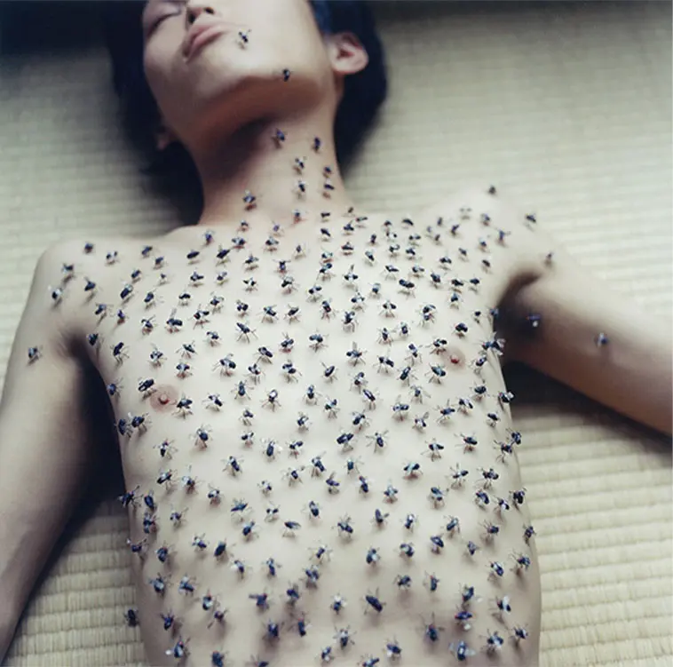 Rinko Kawauchi, Untitled, from the series Utatane, 2001