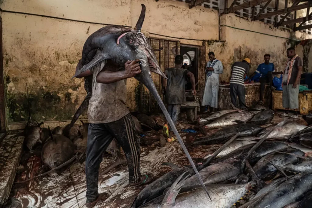 Tariq Zaidi (Reino Unido) con su Inside the Hamar Weyne Fish Market: the Heart of Mogadishu